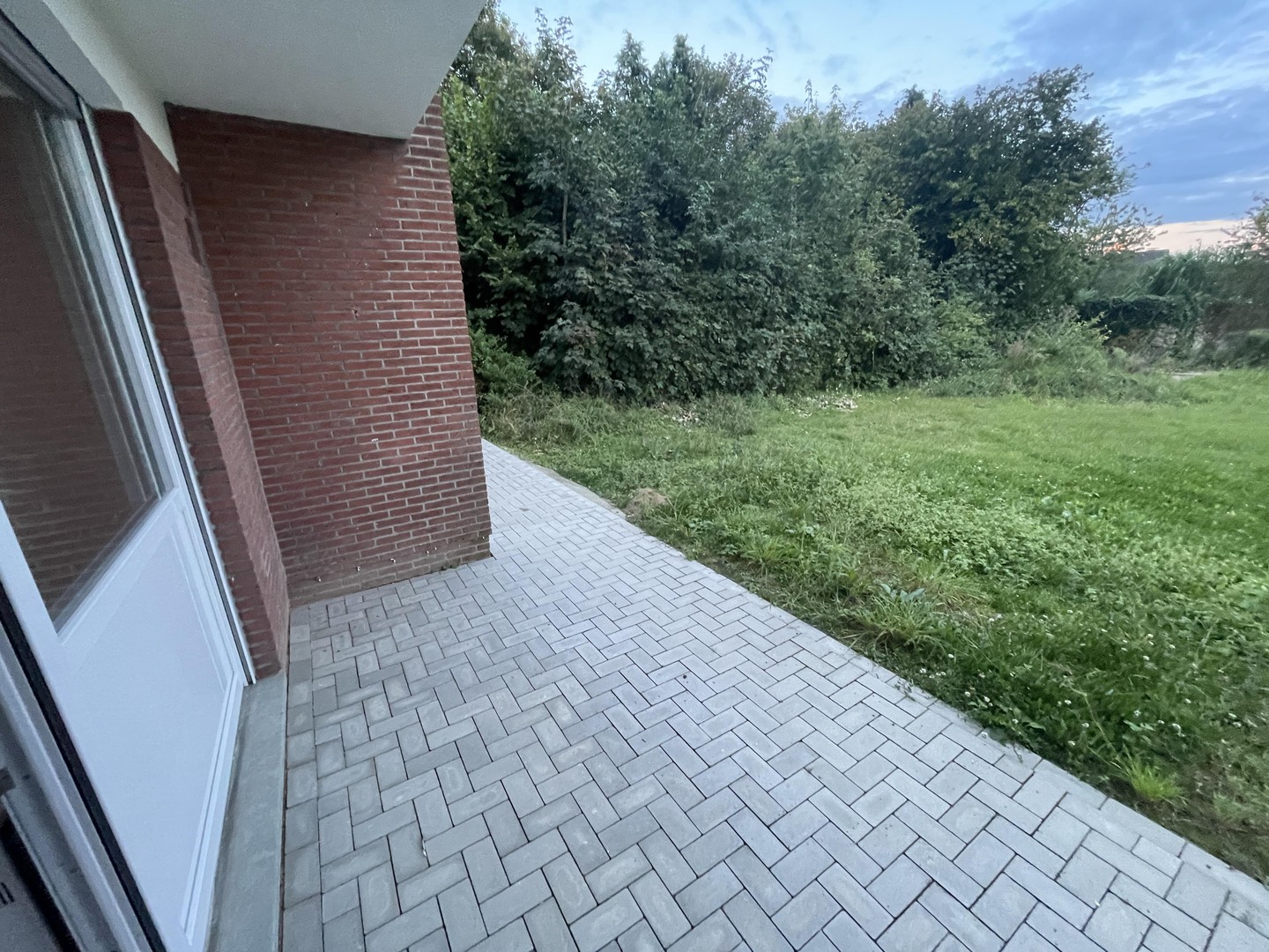 bg