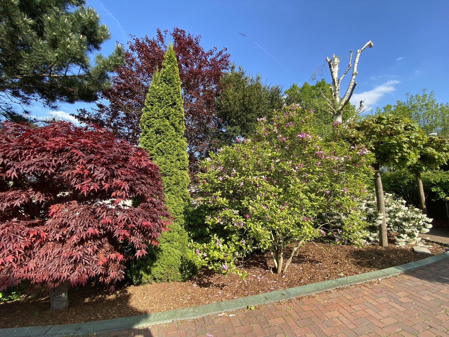 Property thumbnail 7