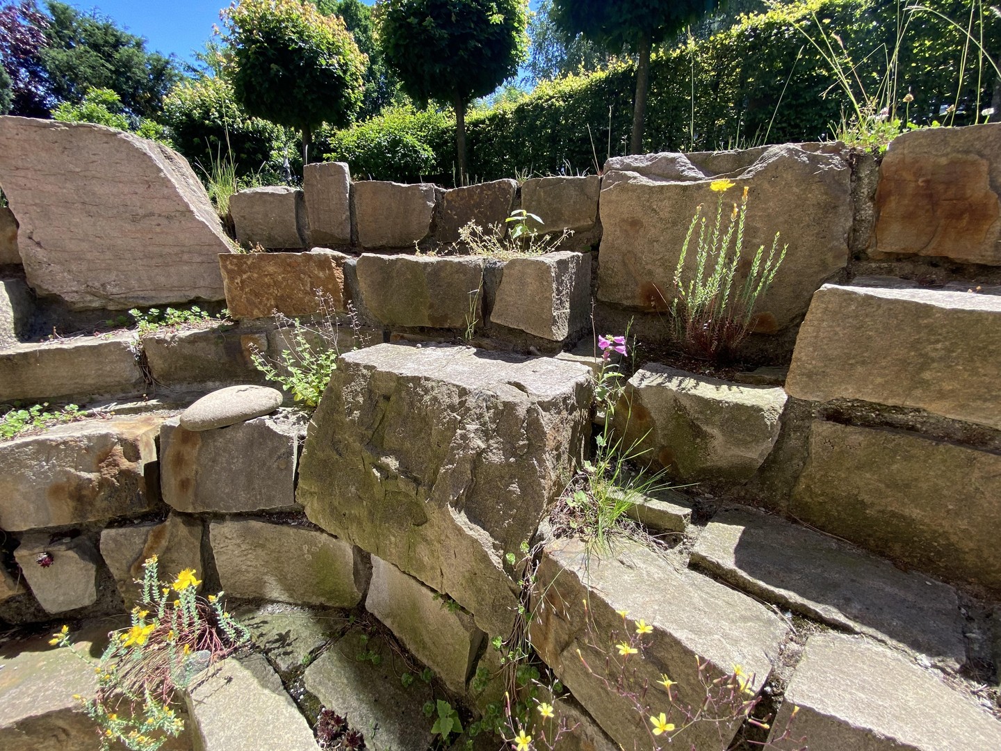 Property thumbnail 8