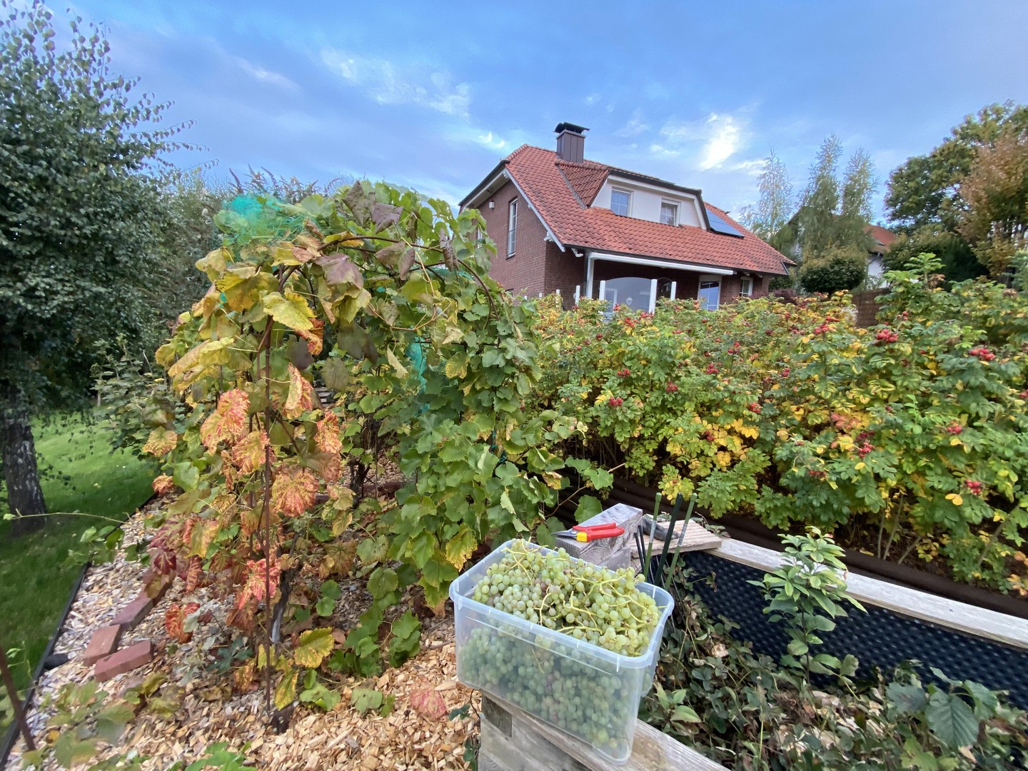 Property thumbnail 11