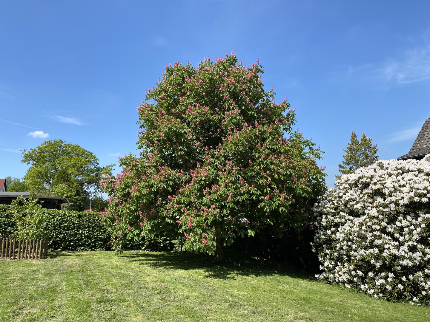 Property thumbnail 18