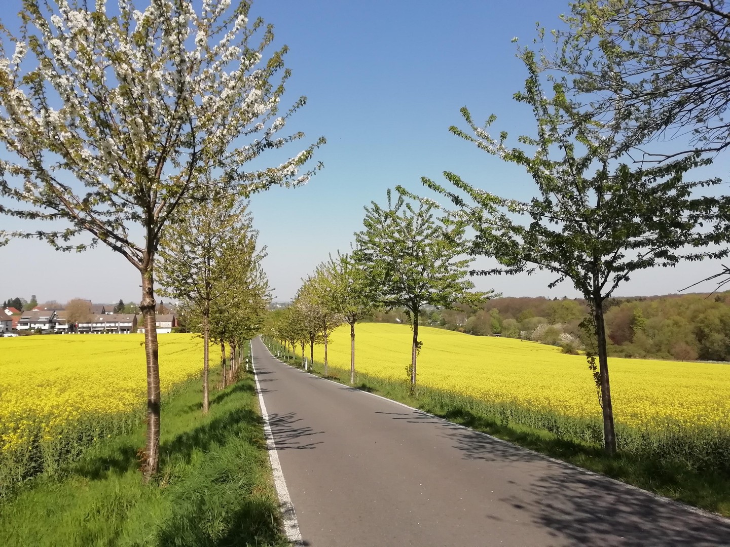 Property thumbnail 20