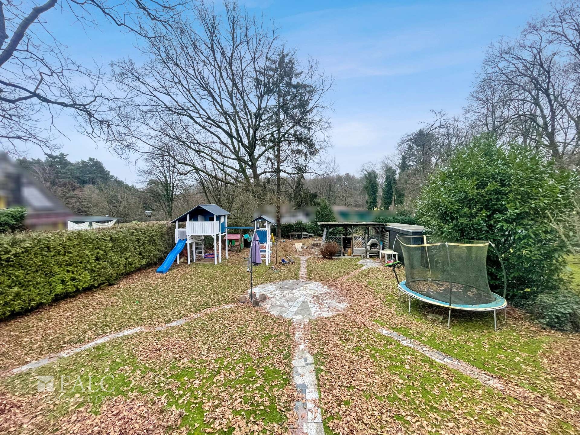 bg