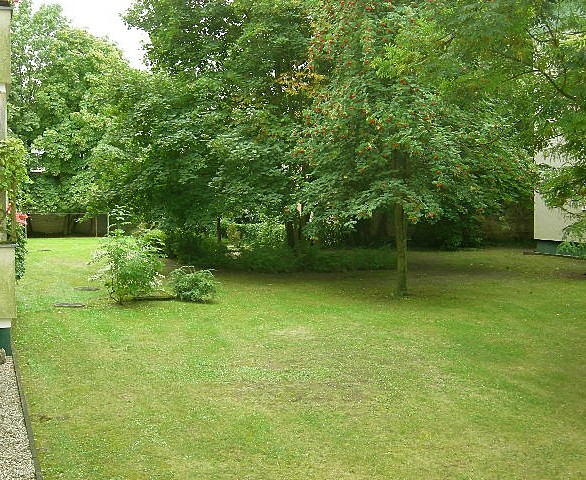 Property thumbnail 6