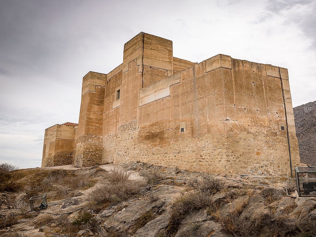 bg