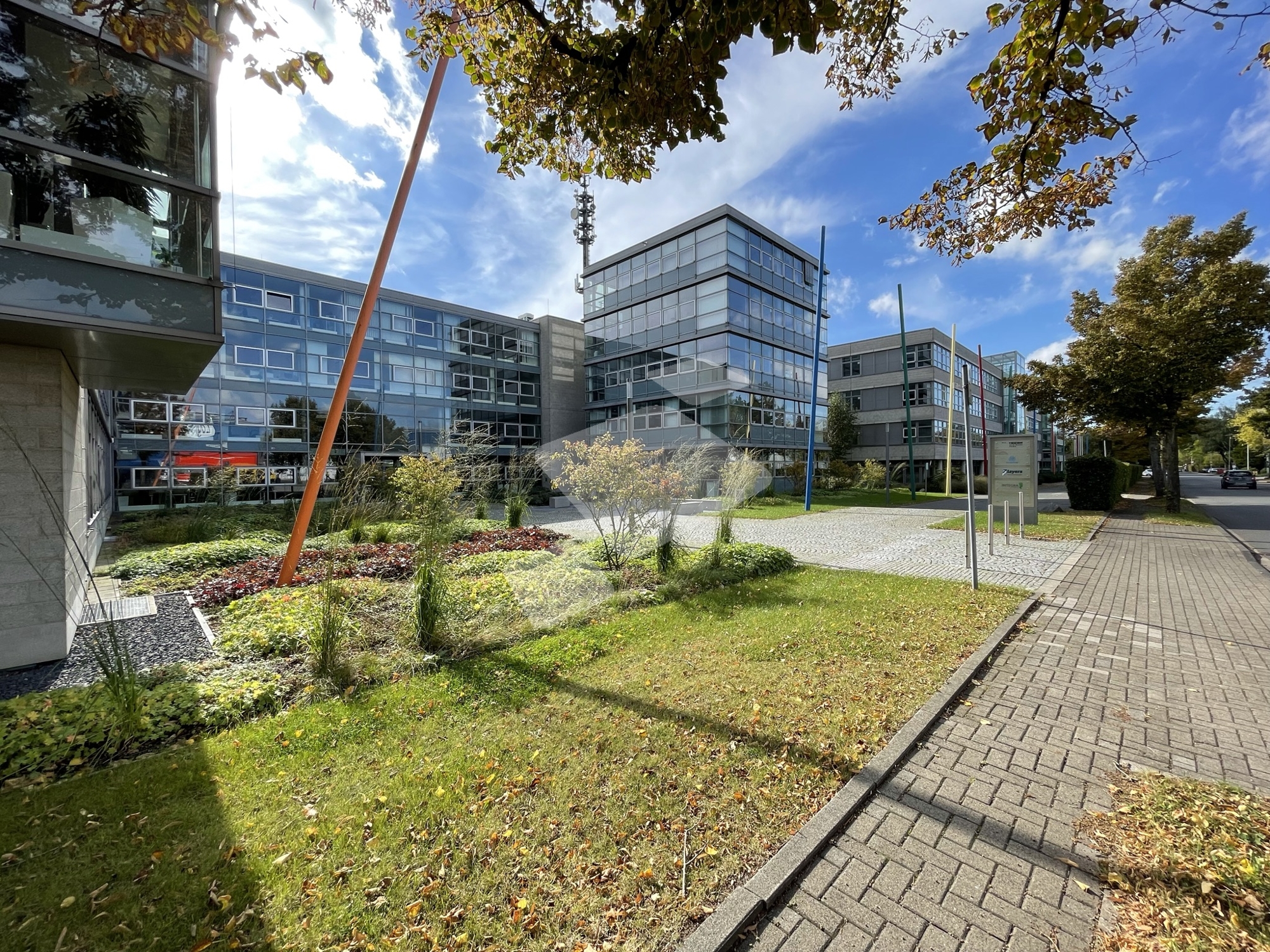 bg