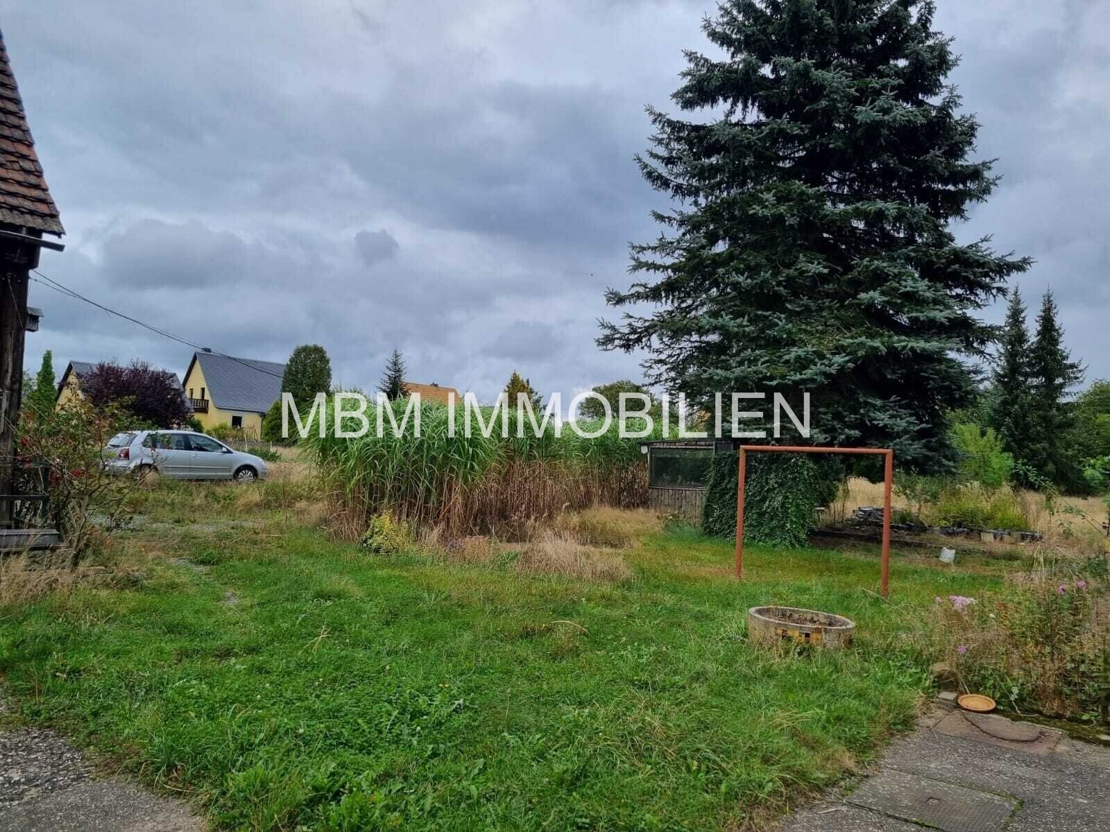 Immobilie in Bad Schandau - Ihr neues ZuHause in der sächsischen Schweiz - Bild 3