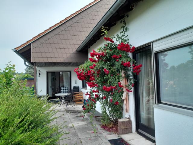 Großzügiges Wohnhaus mit ELW zentral zwischen Homburg und Zweibrücken – Homburg, Saar – Vorschaubild 5