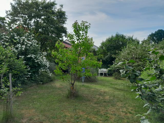Großzügiges Wohnhaus mit ELW zentral zwischen Homburg und Zweibrücken – Homburg, Saar – Vorschaubild 12
