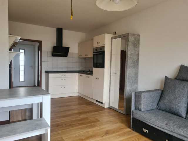 Großzügiges Wohnhaus mit ELW zentral zwischen Homburg und Zweibrücken – Homburg, Saar – Vorschaubild 13