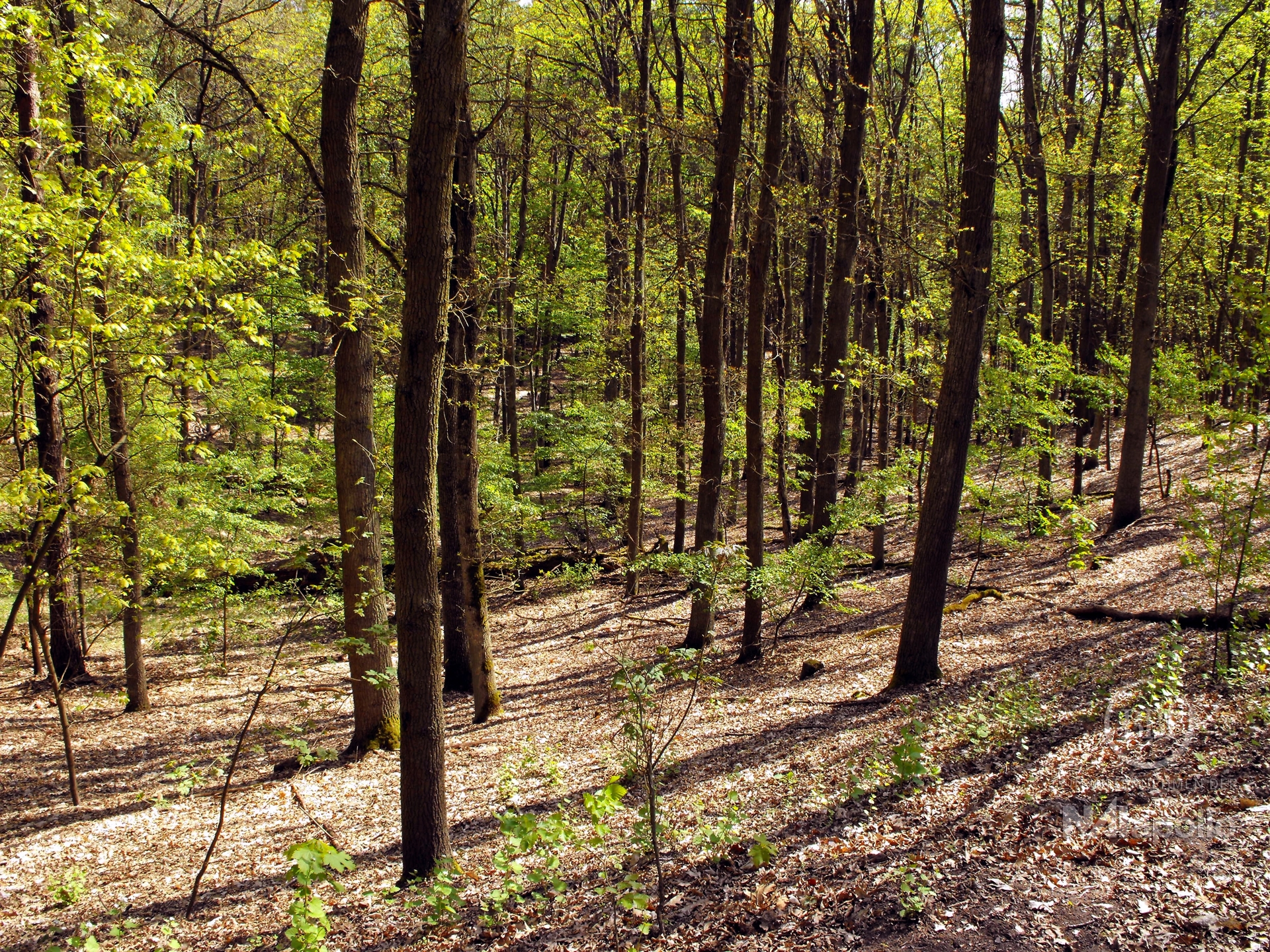 Property thumbnail 20