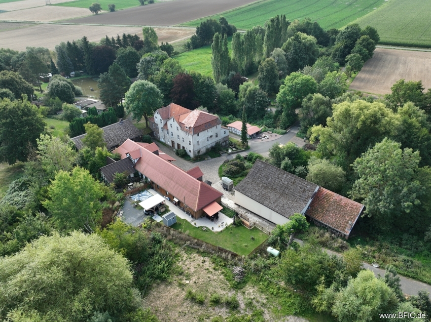 bg