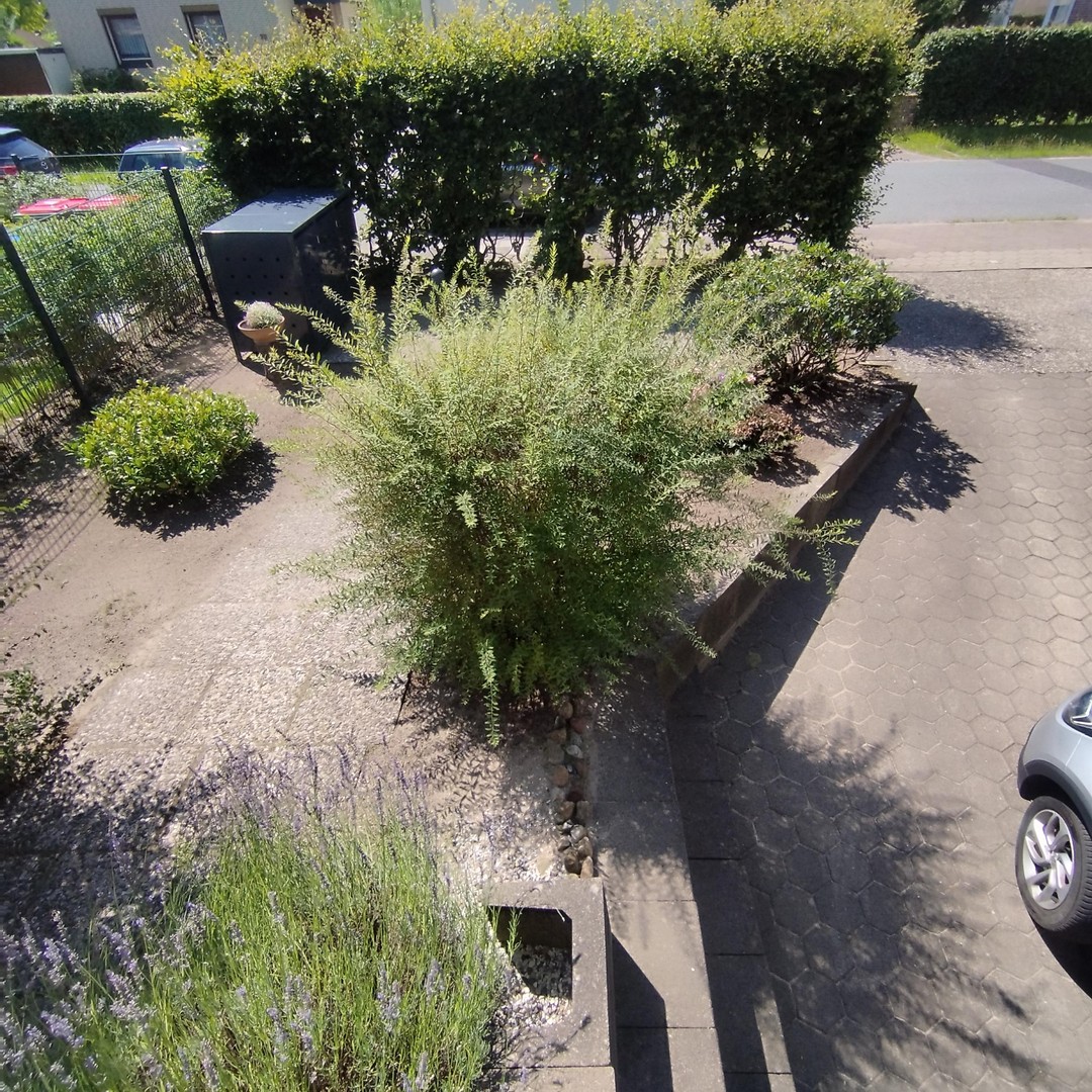 Property thumbnail 18