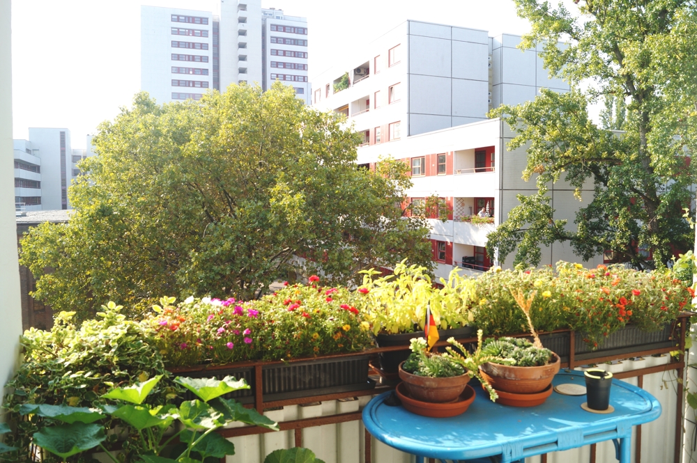 Property thumbnail 8