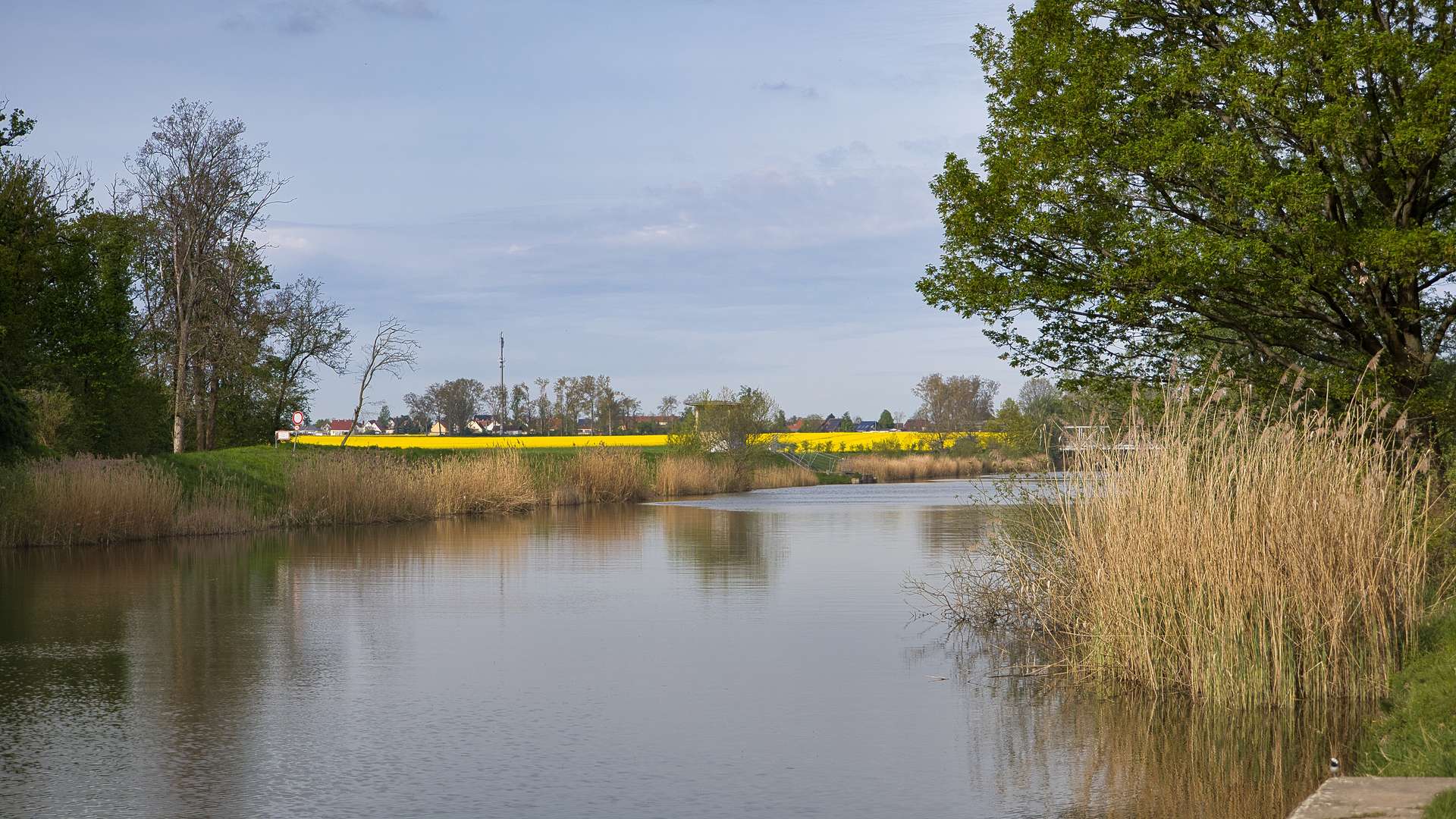 Property thumbnail 13