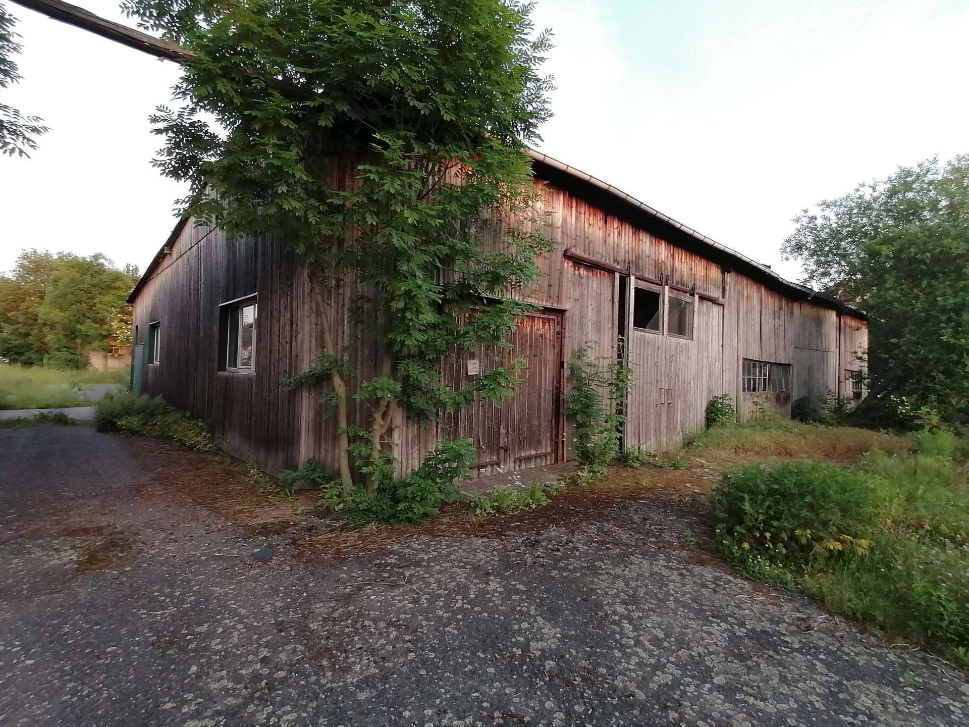 bg