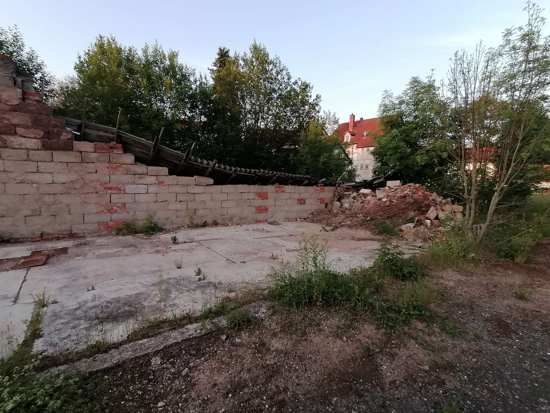 bg