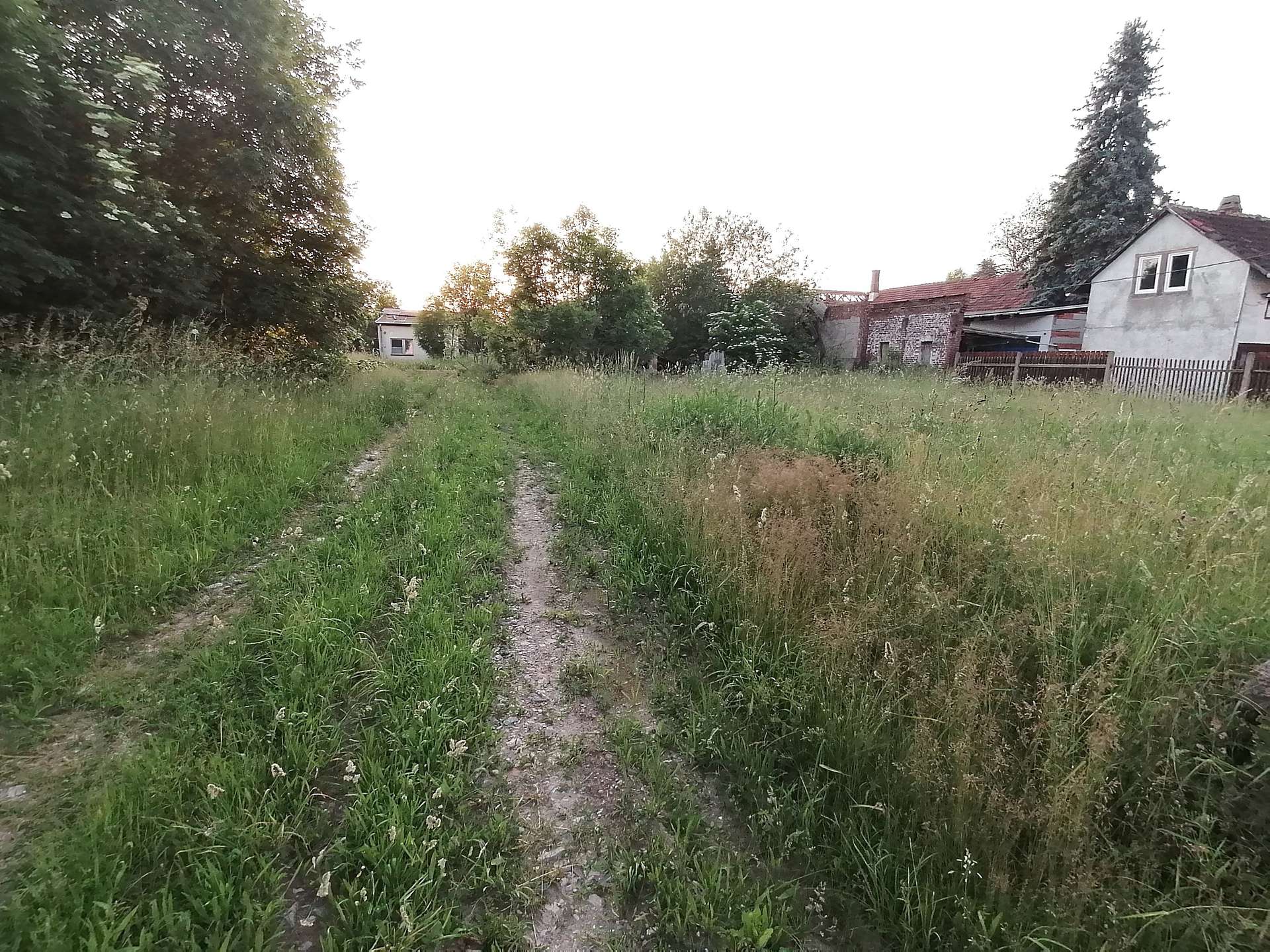 bg