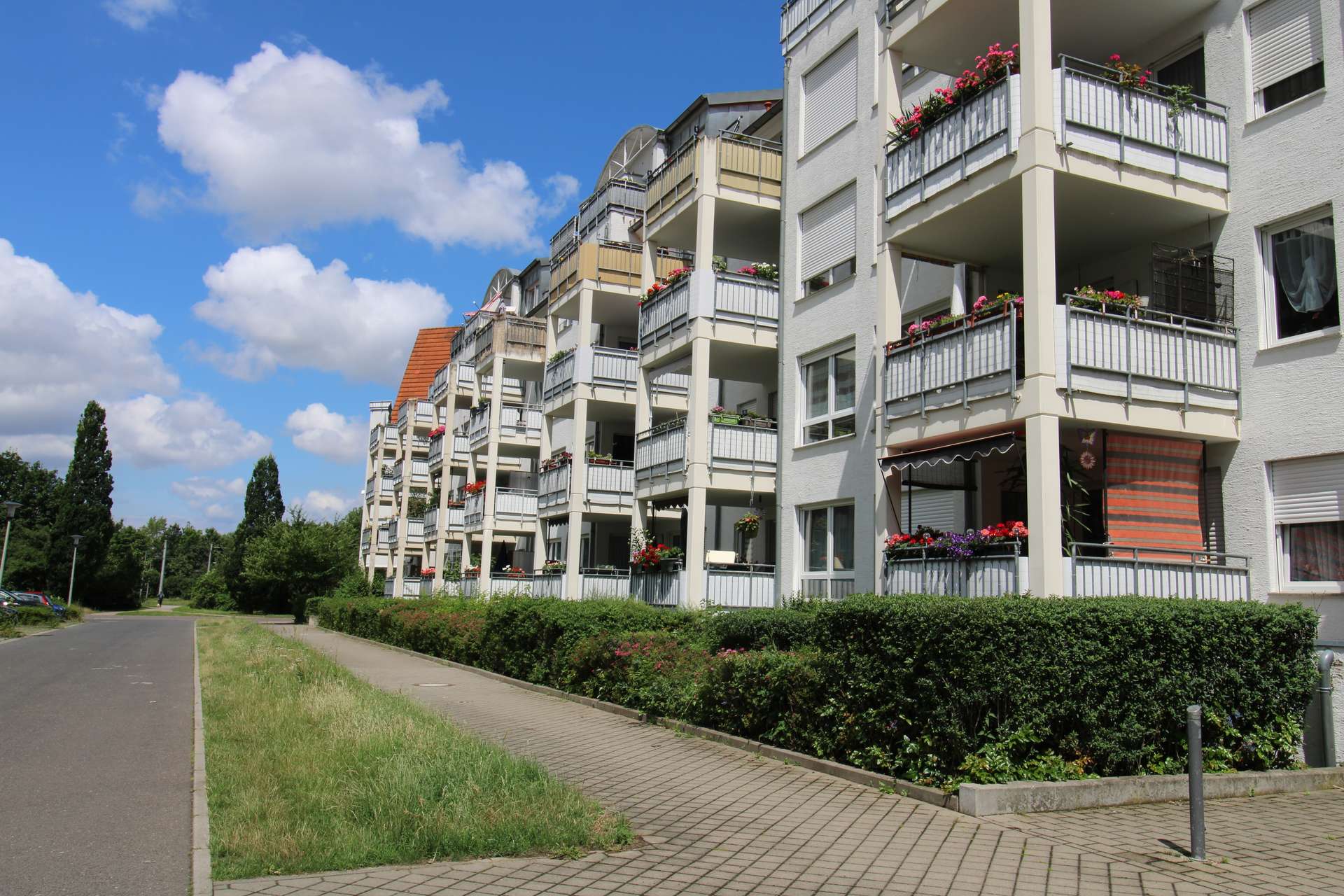 Property thumbnail 12