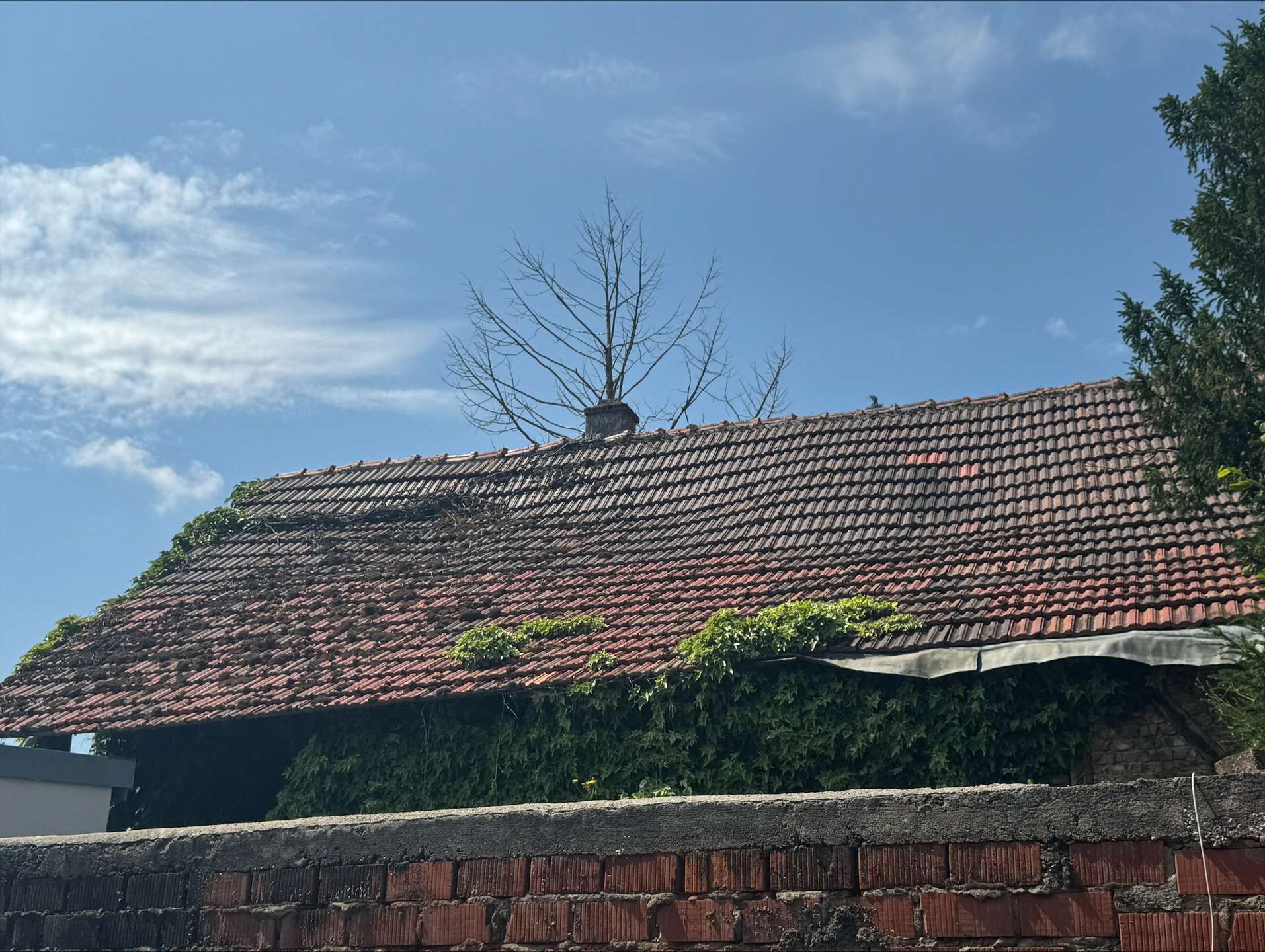 Freistehendes,unsaniertes Einfamilienhaus mit Entwicklungspotenzial und großem Grundstück!! – Eiterfeld – Vorschaubild 15