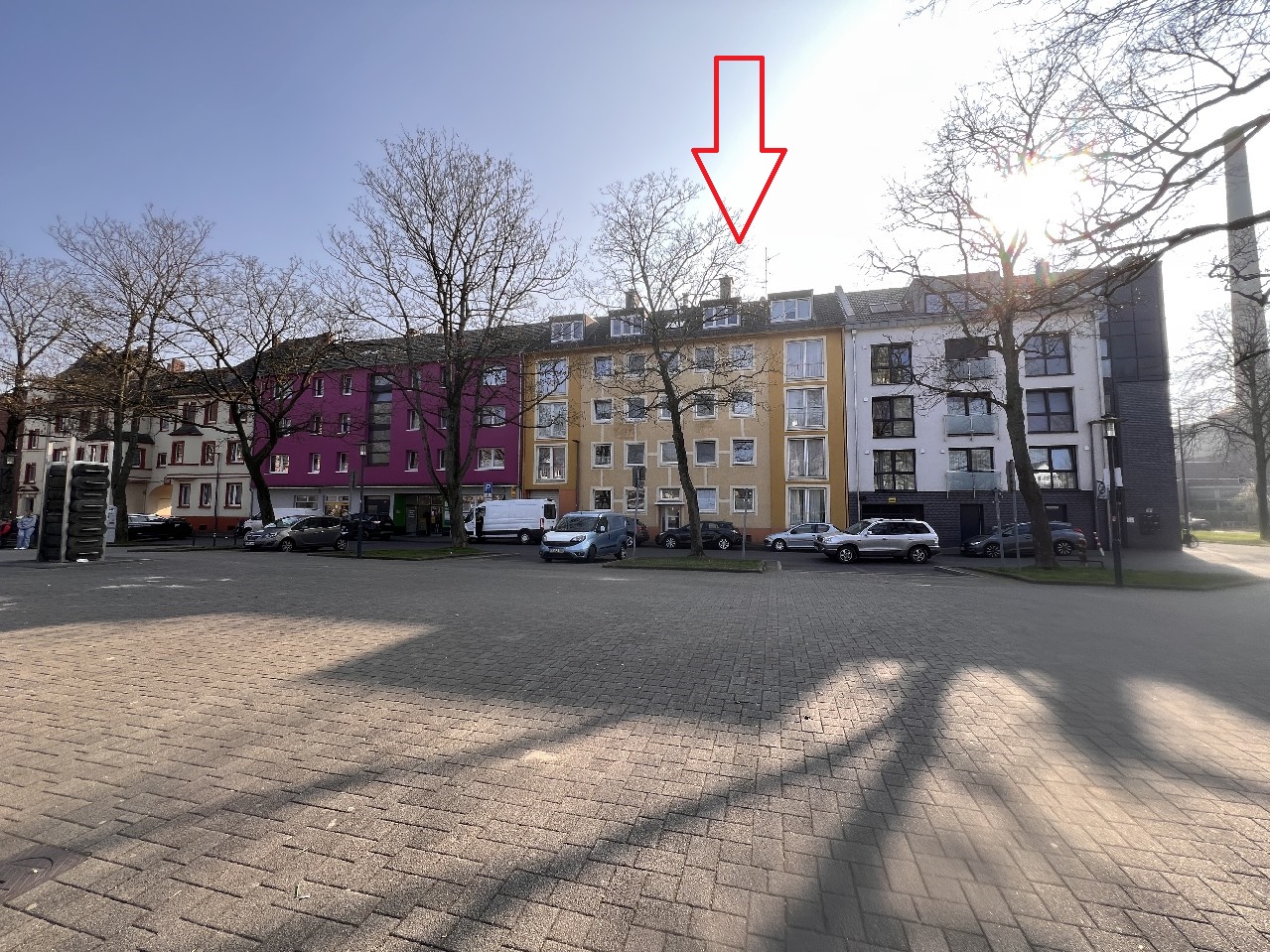 bg