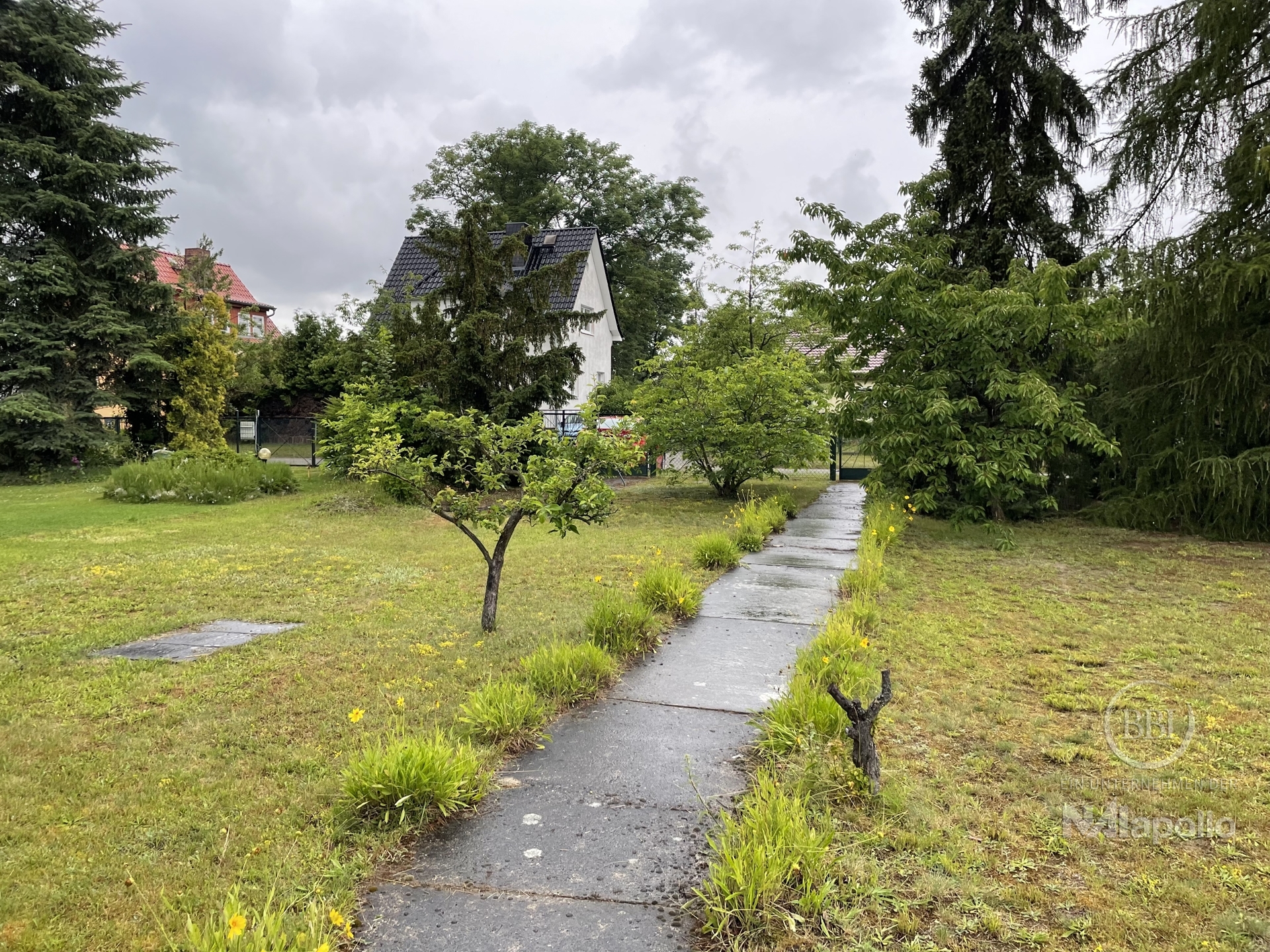 bg