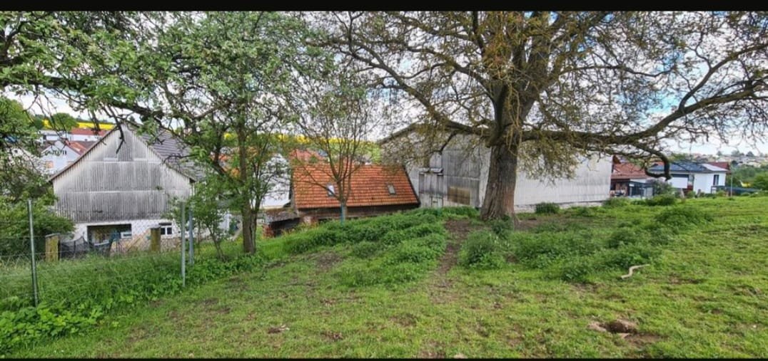 Bebra-OT, Landhaus + Pferdehof – Bebra – Bild 1 von 20