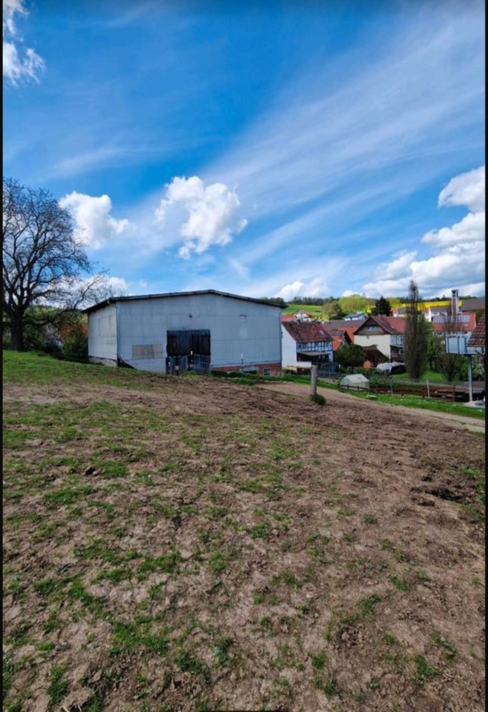 bg