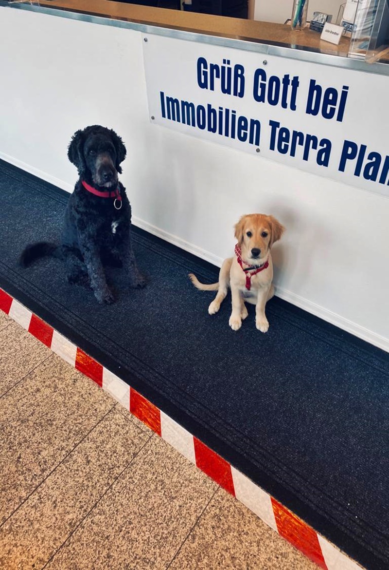 Property thumbnail 15