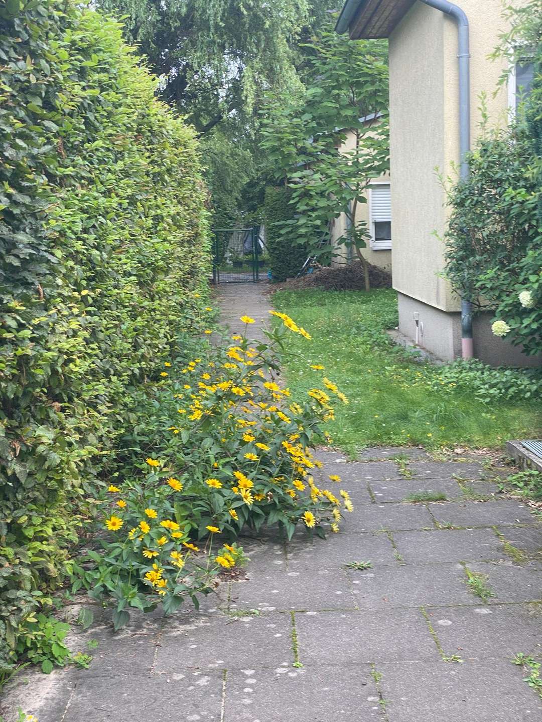 Verkauf eines 96 qm eingeschossigen Reihenhauses in sehr ruhiger Anliegerstraße nahe des Nymphensees – Falkensee – Vorschaubild 9