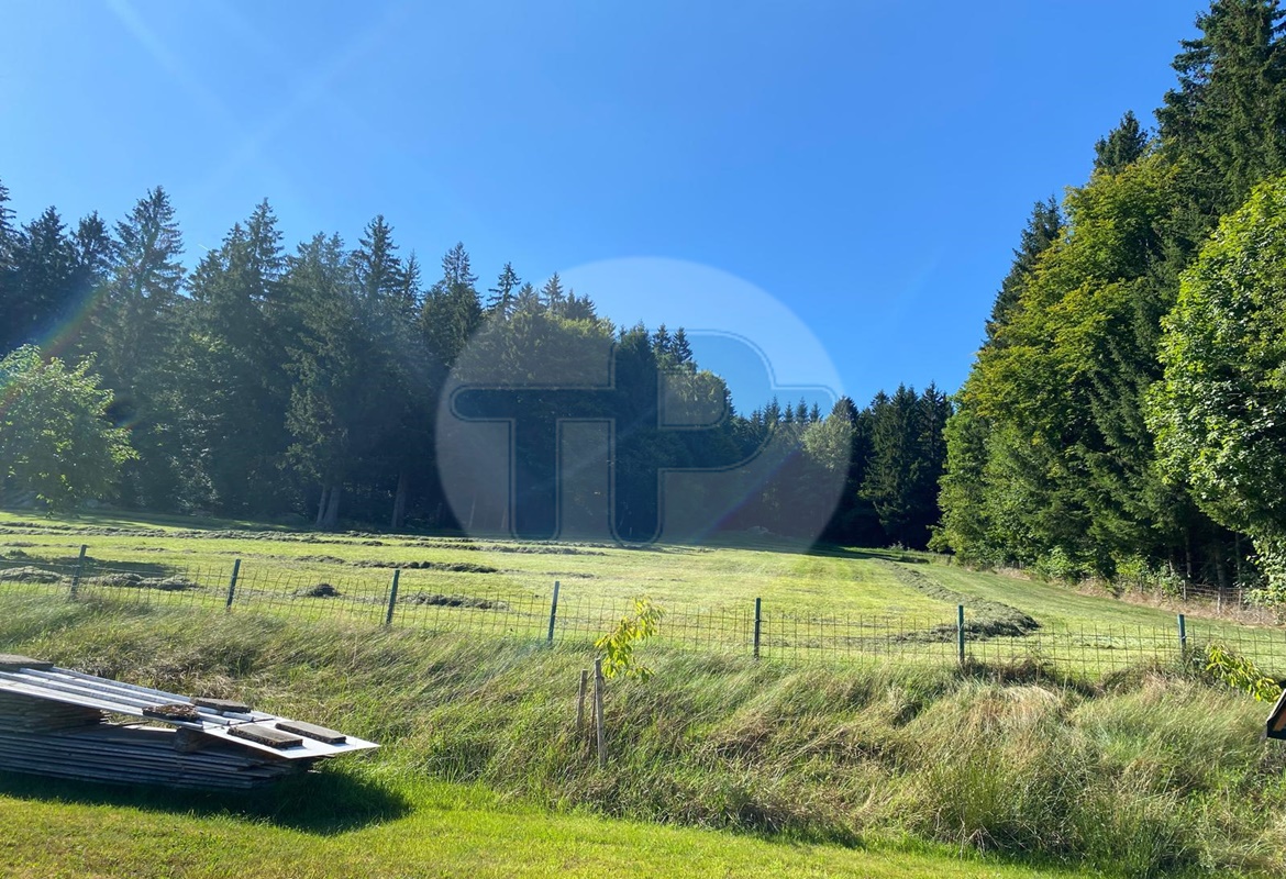 FERNBLICK - URIGES LANDHAUS MIT NEBENGÄUBEDEN – Freyung – Vorschaubild 2