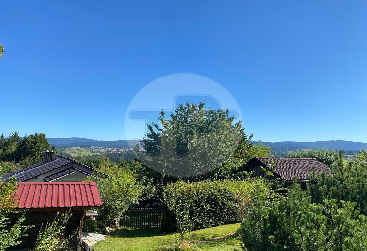 FERNBLICK - URIGES LANDHAUS MIT NEBENGÄUBEDEN – Freyung – Vorschaubild 4