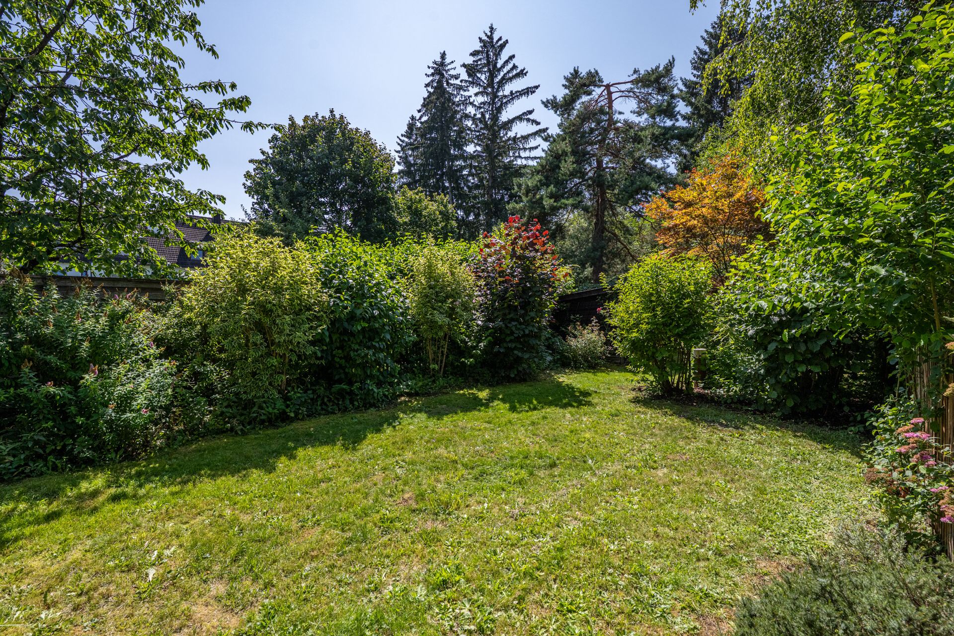 Property thumbnail 9