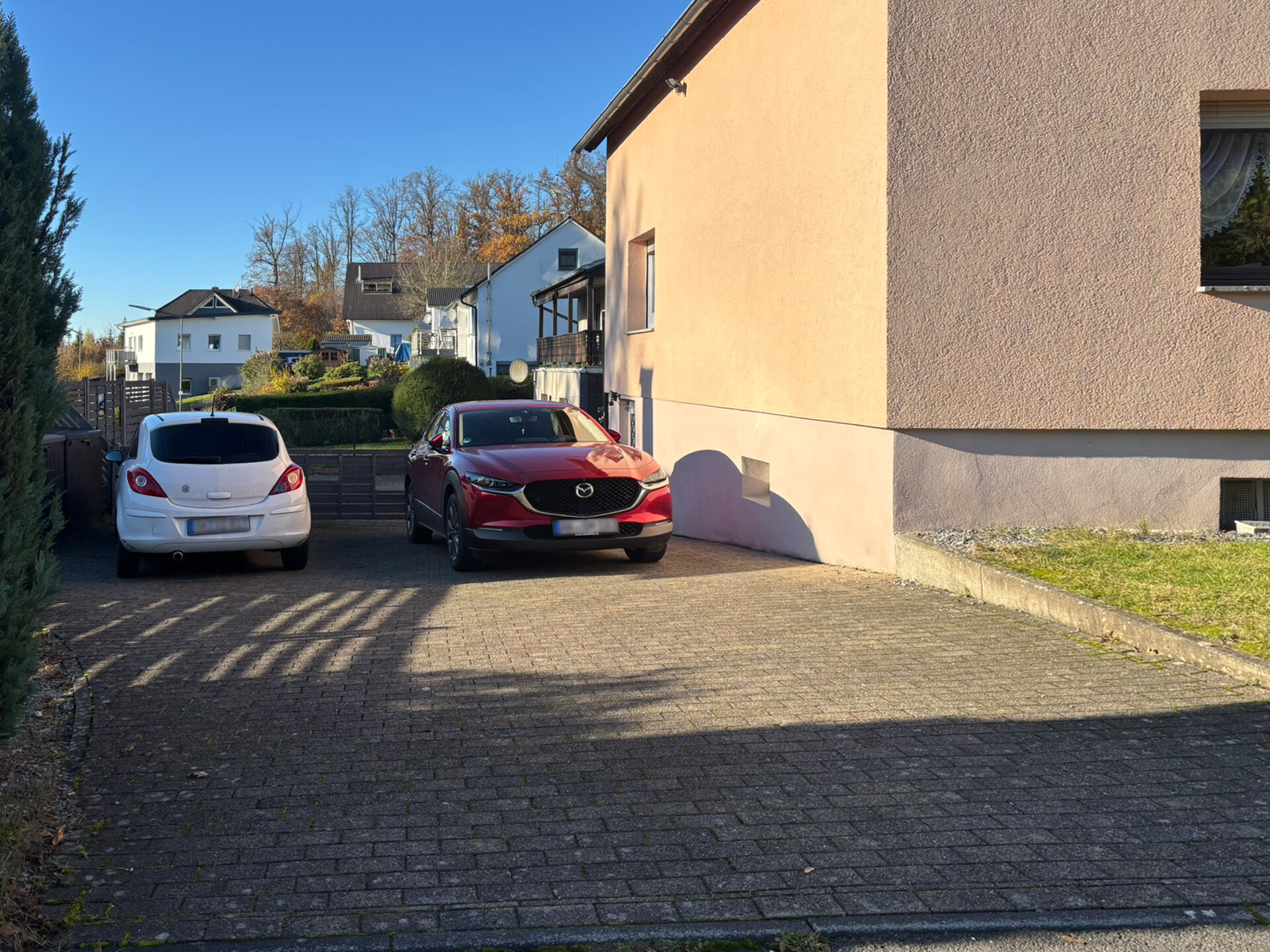 bg
