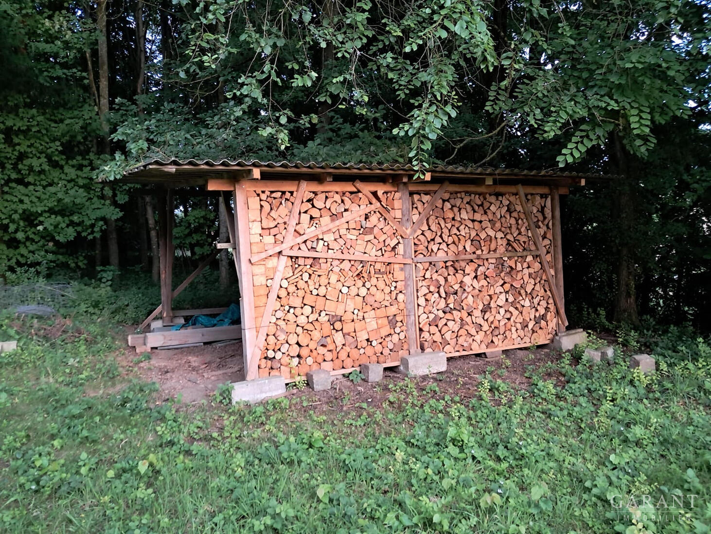 bg
