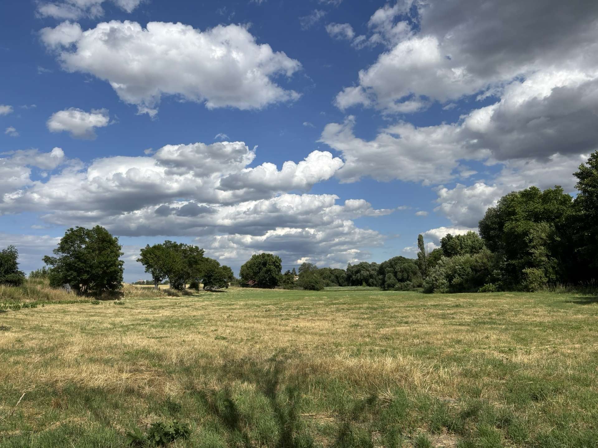 Property thumbnail 22