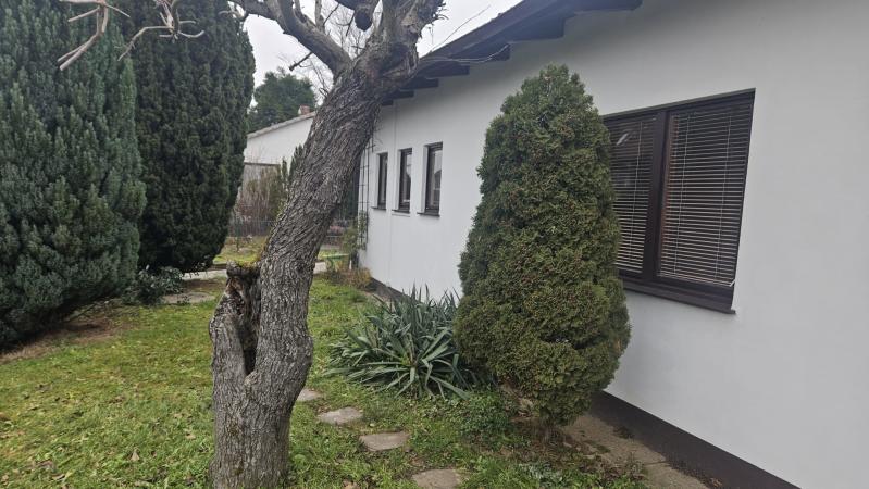 Immobilie in Michelstadt - ObjNr:19786 - 2 verbundene Einfamilienhäuser in ruhiger Wohngegend in Michelstadt - Bild 0