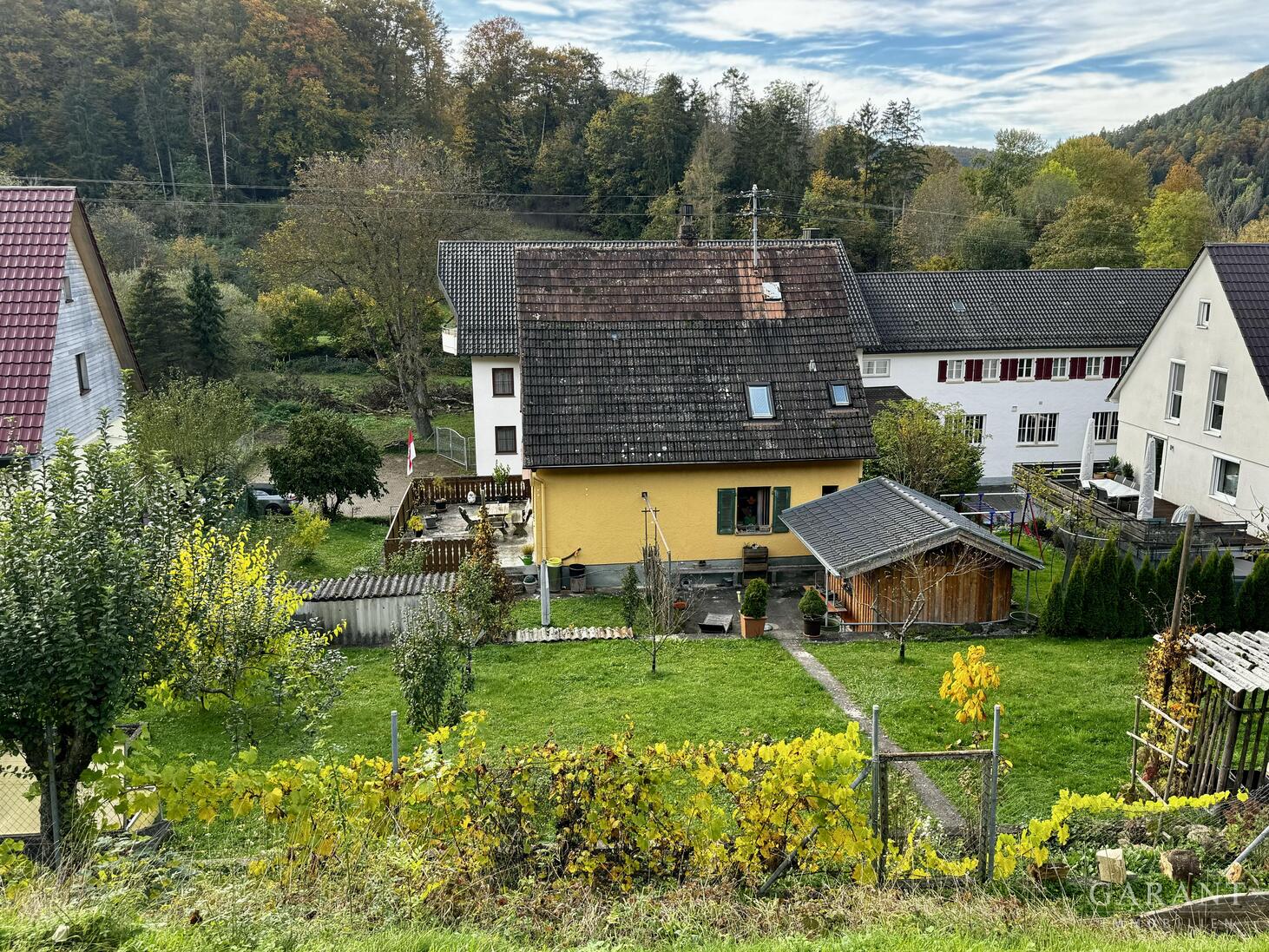 bg