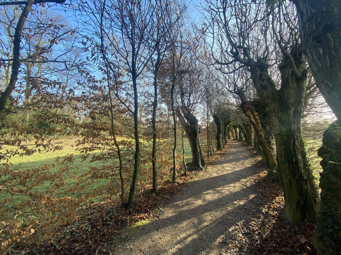 Property thumbnail 21