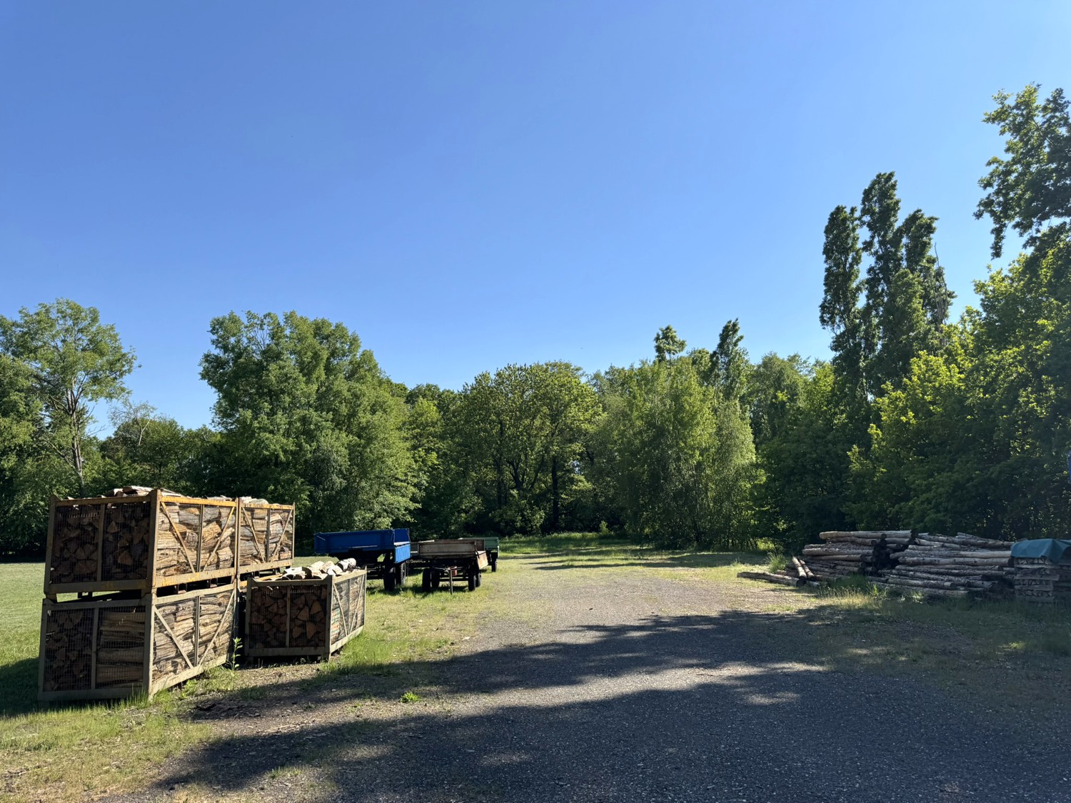Landanwesen (2,9ha) mit großem Haus und Gewerbehalle – Liebschützberg – Vorschaubild 5