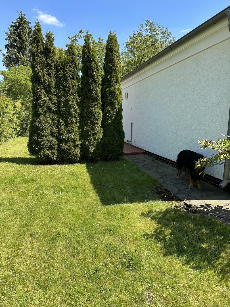 Property thumbnail 4