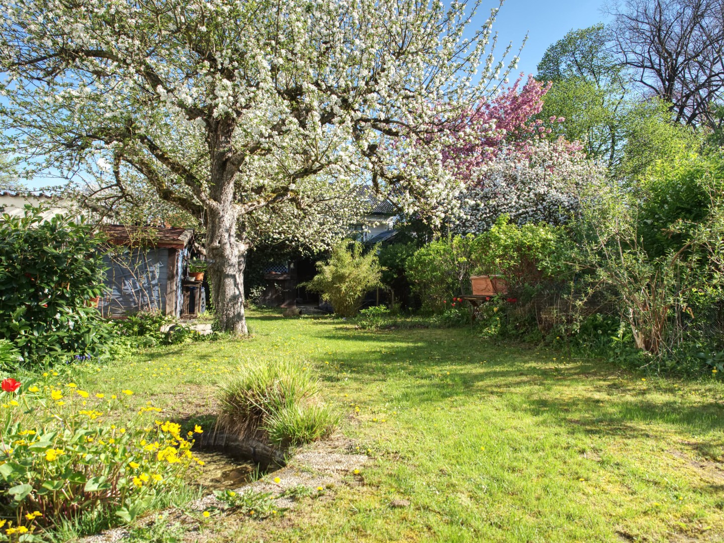 Property thumbnail 2