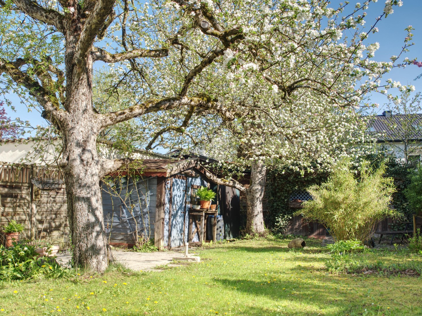 Property thumbnail 30