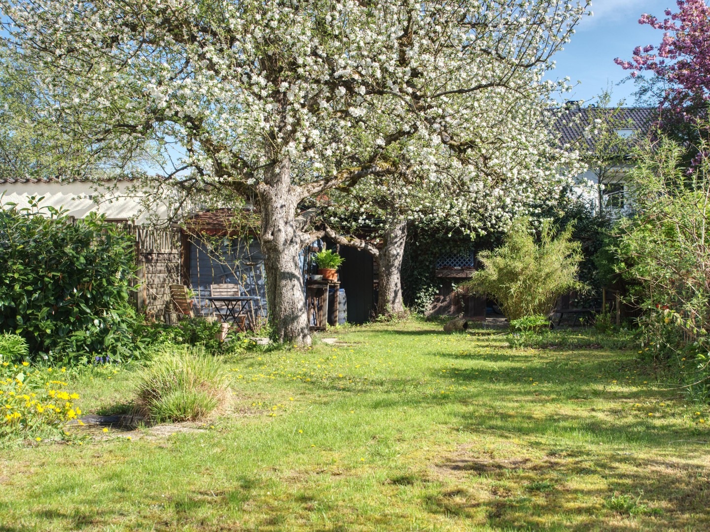 Property thumbnail 33