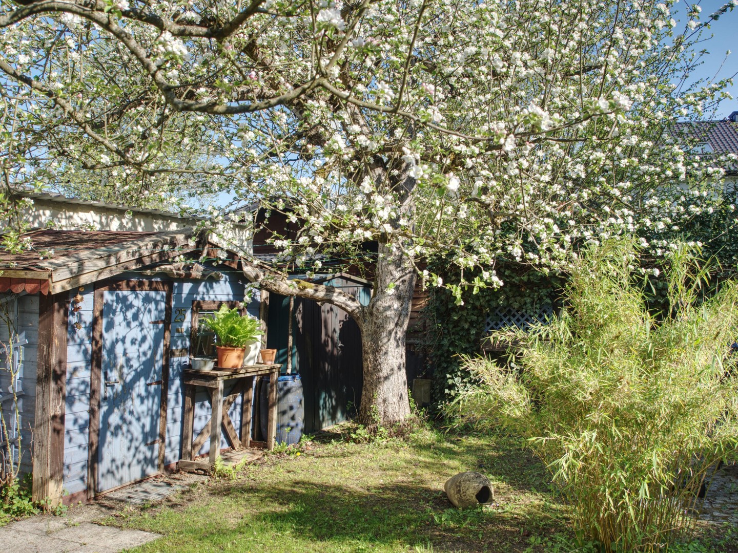 Property thumbnail 36