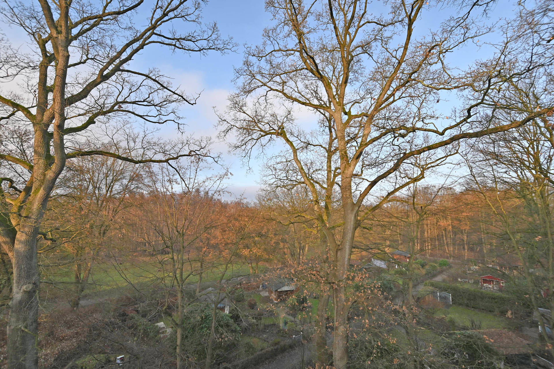 Property thumbnail 20