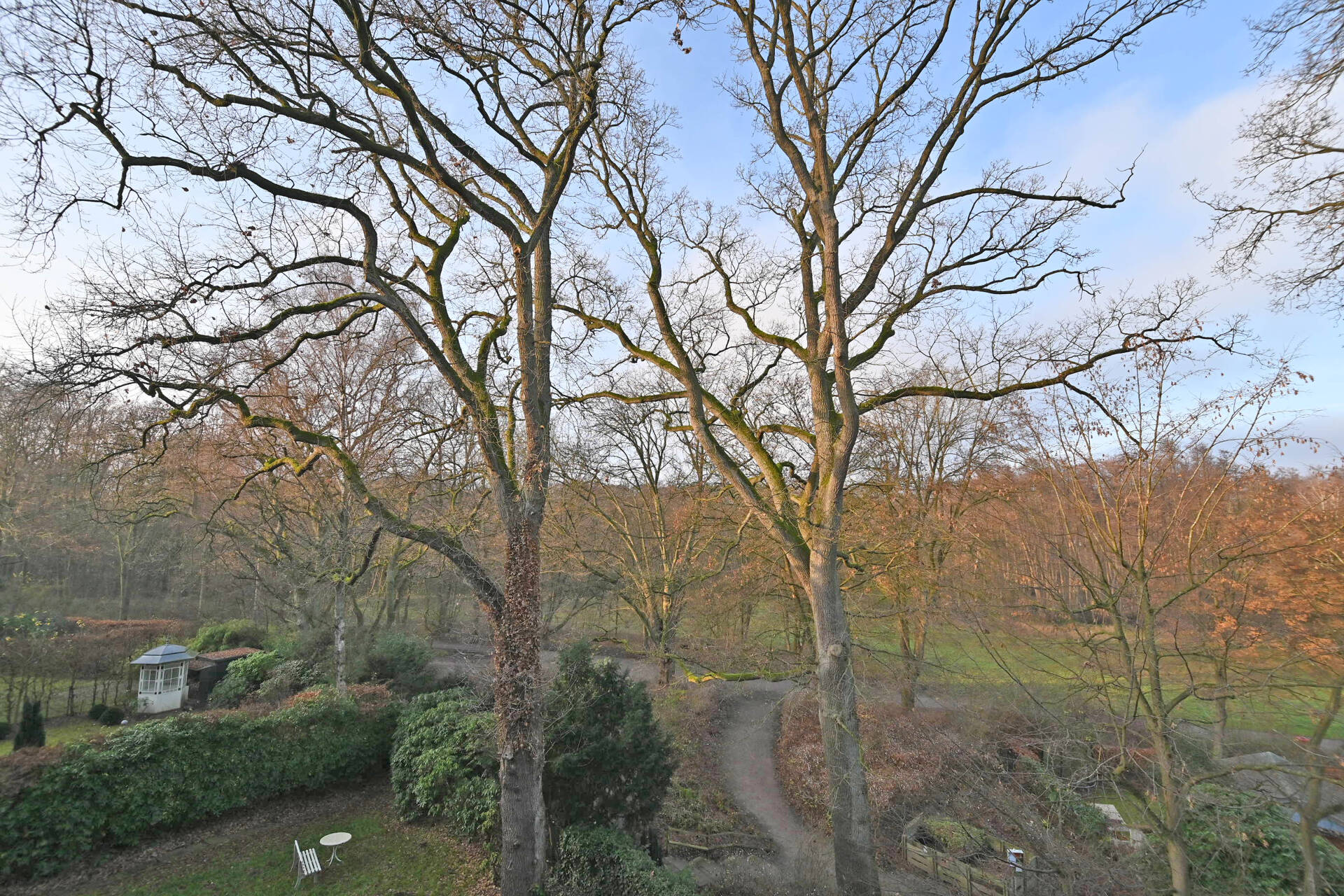 Property thumbnail 21