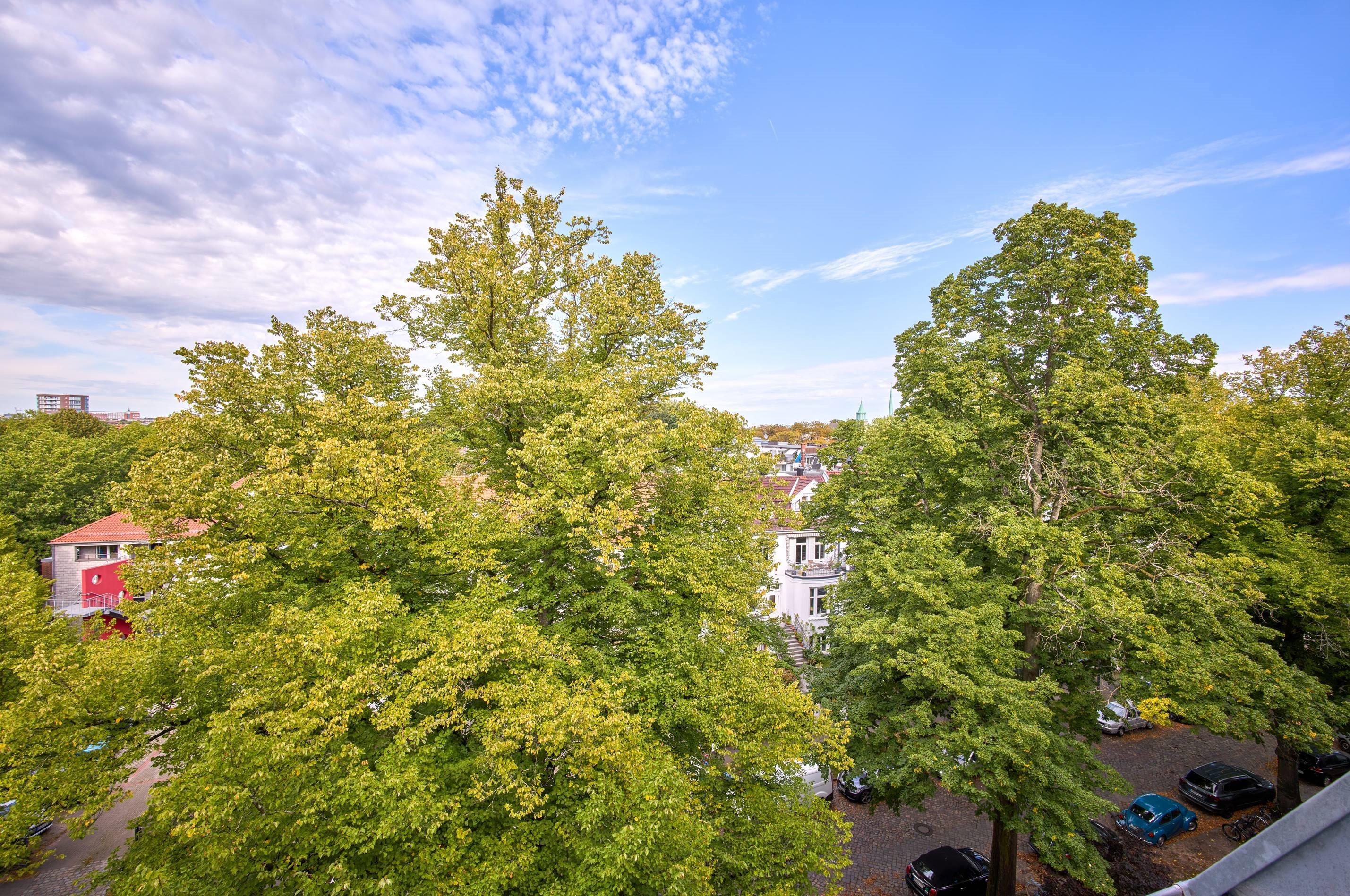 Property thumbnail 18