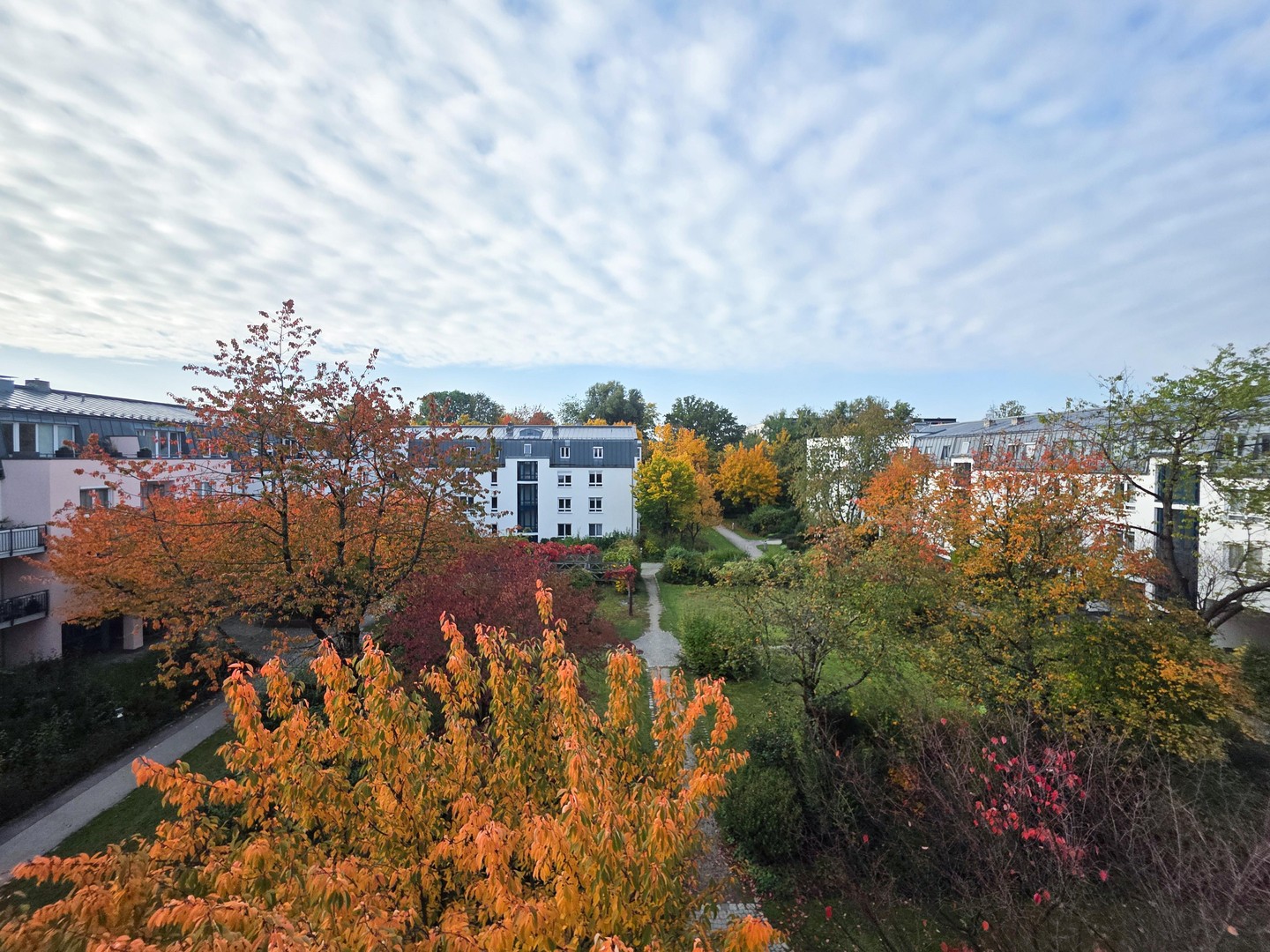 Property thumbnail 7