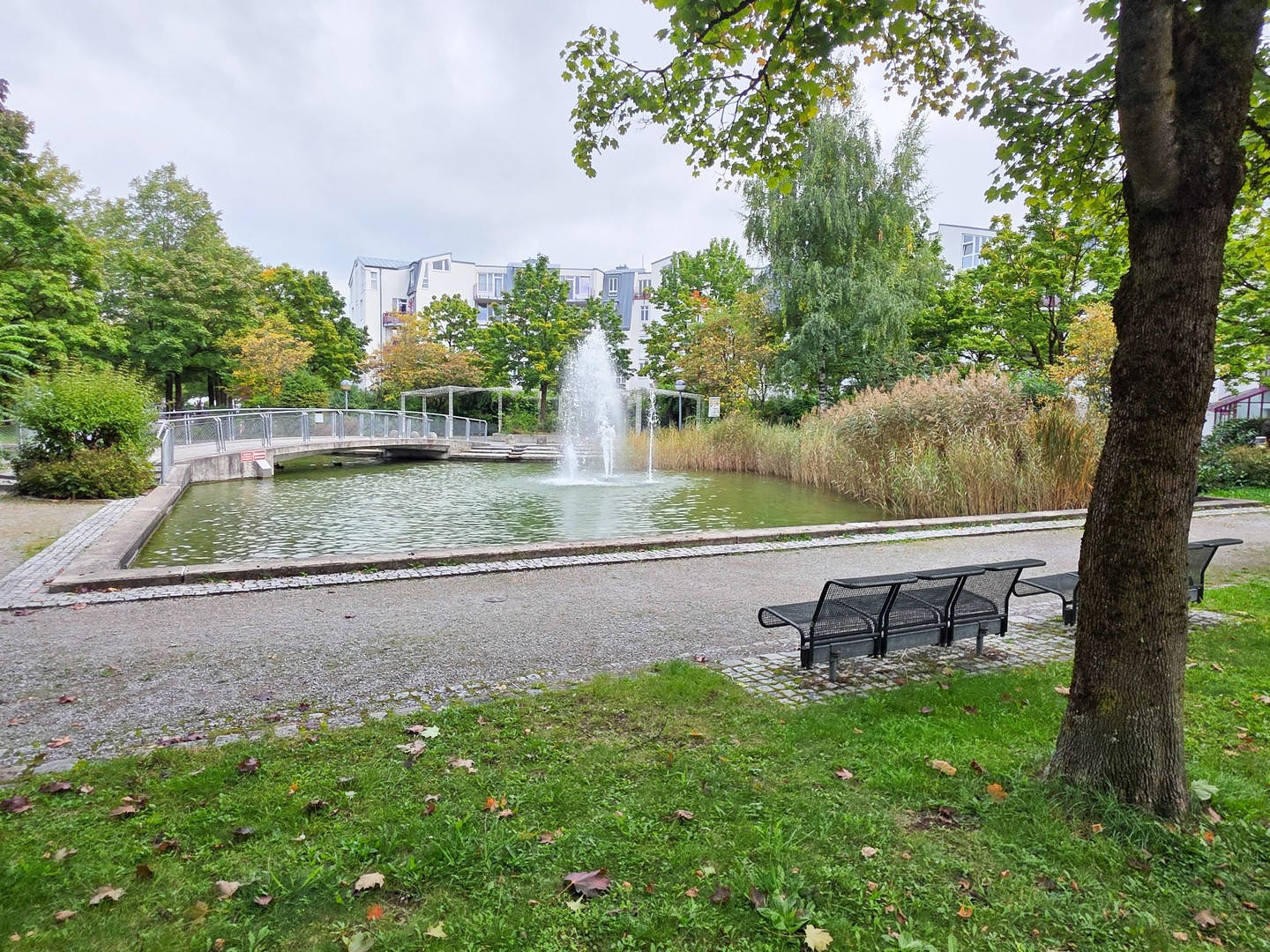 Property thumbnail 31